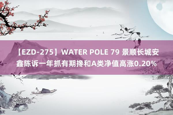 【EZD-275】WATER POLE 79 景顺长城安鑫陈诉一年抓有期搀和A类净值高涨0.20%