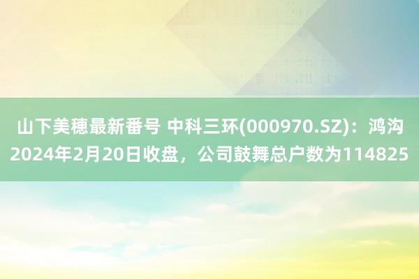 山下美穂最新番号 中科三环(000970.SZ)：鸿沟2024年2月20日收盘，公司鼓舞总户数为114825