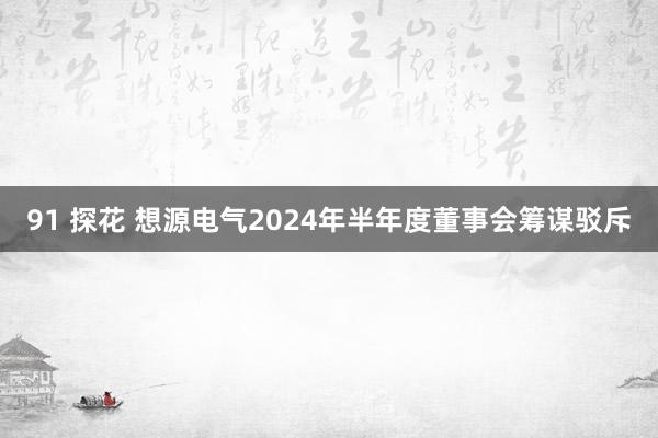 91 探花 想源电气2024年半年度董事会筹谋驳斥