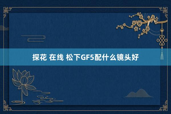 探花 在线 松下GF5配什么镜头好