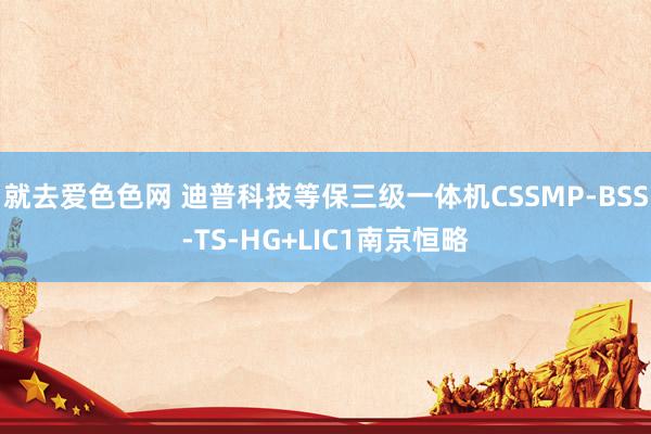 就去爱色色网 迪普科技等保三级一体机CSSMP-BSS-TS-HG+LIC1南京恒略